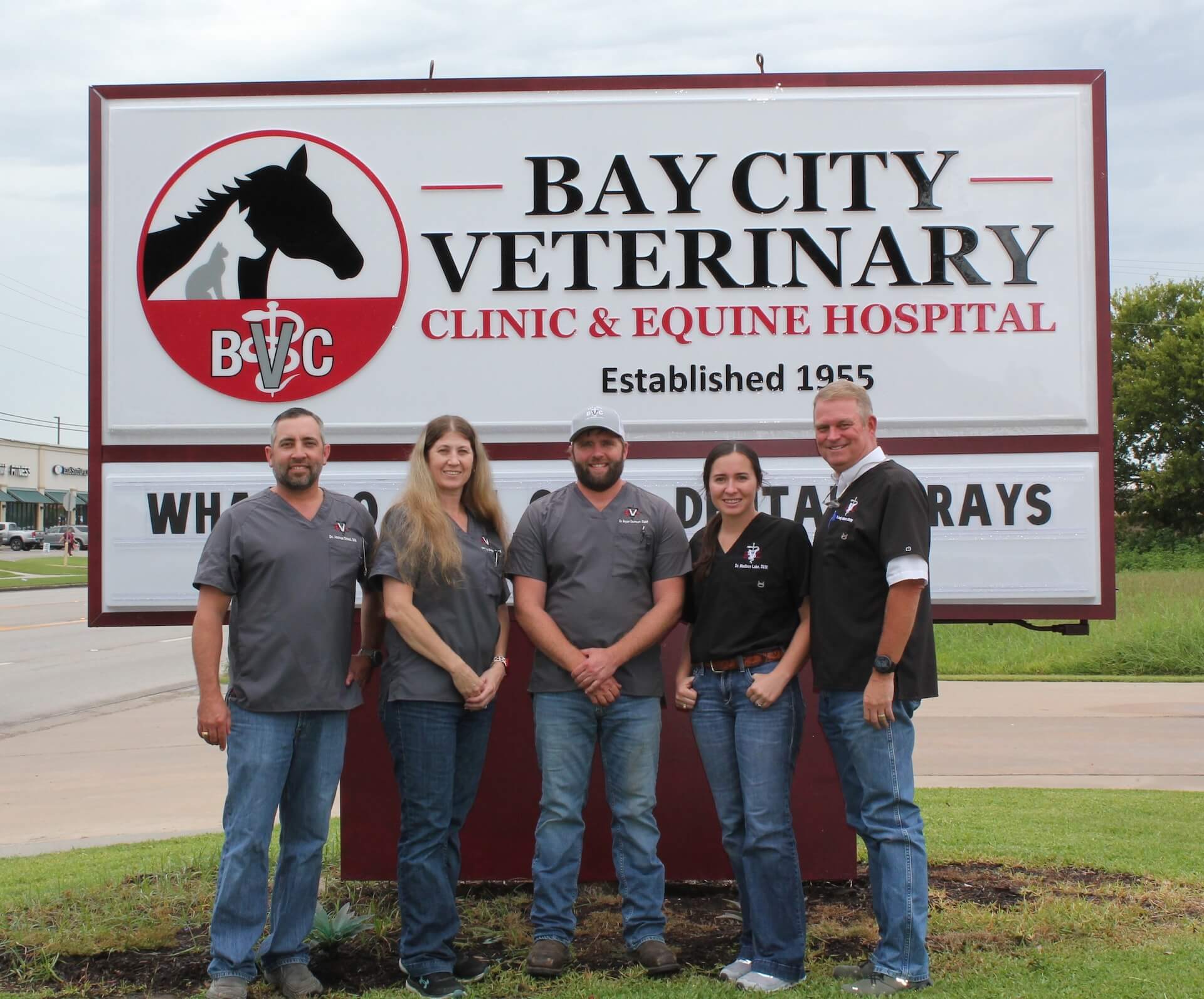 Bay City Veterinarian