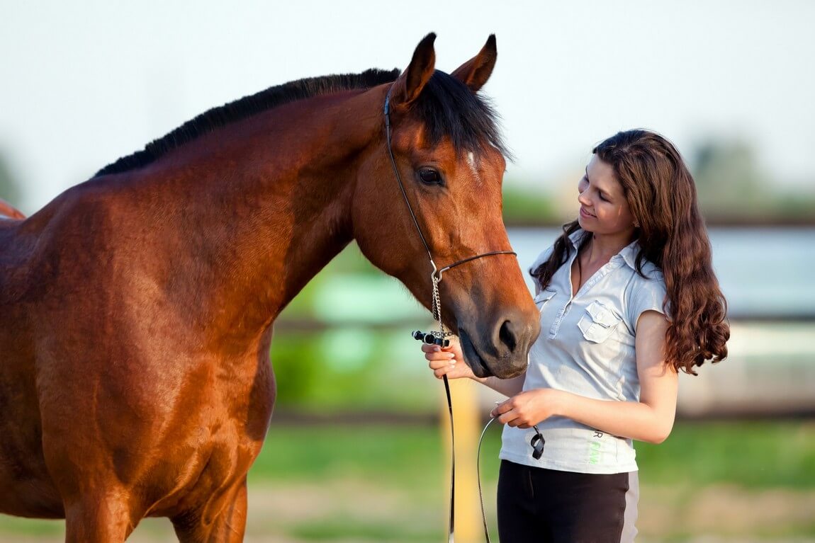 Equine Annual Coggins Testing