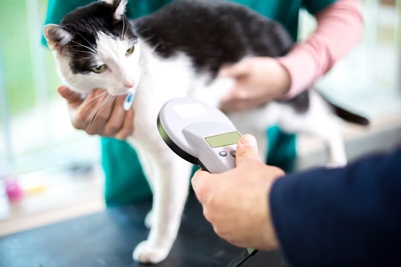 Pet Microchip